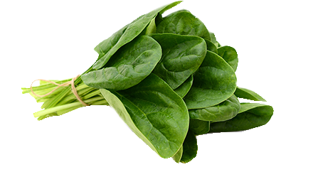 1 cup cooked Spinach