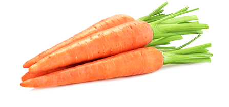 1 cup chopped raw Carrots